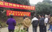 河源市科协举办荔枝种植技术现场培训班