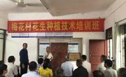 河源市科技咨询服务中心邀请专家赴梅花村开展花生种植技术培训