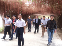 香港工程界社促会到惠州市惠阳区开展科普交流活动