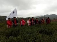 紫金县举办2018紫金茶文化节活动