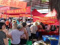 2018年佛山市送科技活动走进高明对川村