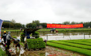 和平县农学会举办水稻生产全程机械化演示会