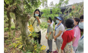 深圳市罗湖区举办深港抗疫青年及跨境学子兰花科普游园会