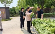 梅州市科协牵线搭桥科技助力传统食品产业提质增效