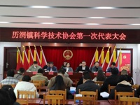 云浮市郁南县历洞镇召开会议选举成立镇级科协