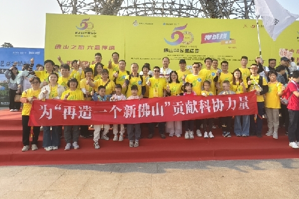 图片8