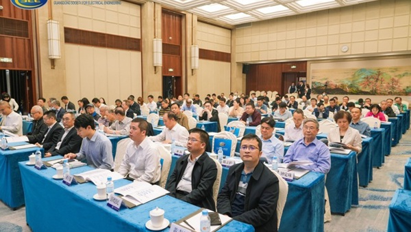 2025年岭南电力论坛收官