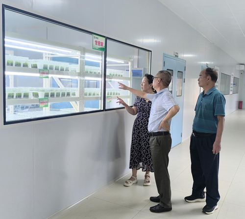 调研组考察组培苗培育基地