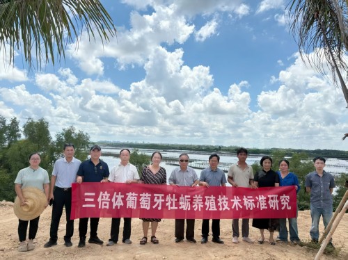 省老科协项目组到官渡湾生蚝养殖基地实地指导