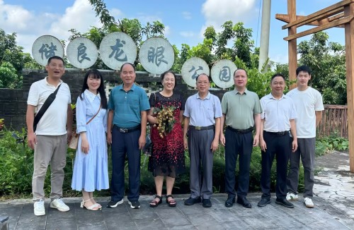 湛江市银发人才助力“百千万工程”专题调研走进茂名