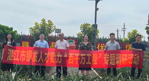 湛江市银发人才助力“百千万工程”专题调研走进广垦菠萝红星农场标准化种植基地