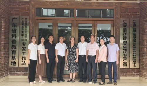 湛江市银发人才助力“百千万工程”专题调研走进广前糖业发展有限公司