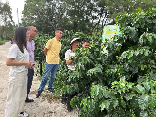 2c35df8b748ae7abe4f287f26f51cca