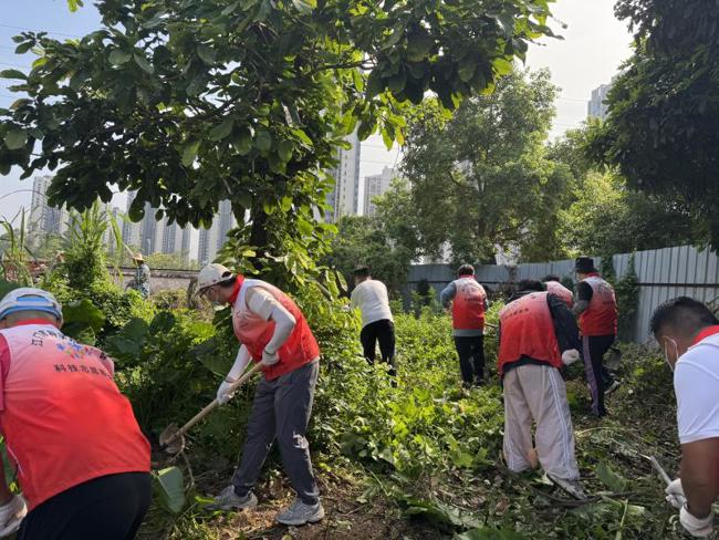 10月12日上午，江门市科协联动七家单位的30余名志愿者清理蓬江区群众社区内杂草丛生的废弃空地